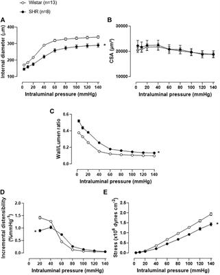 Reduced intestinal butyrate availability is associated with the vascular remodeling in resistance arteries of hypertensive rats